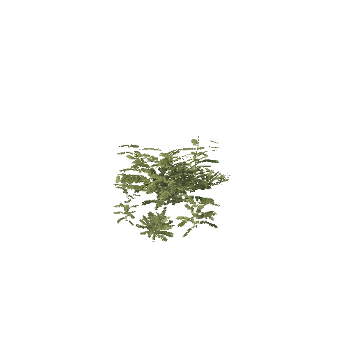 Plant 65_LOD_1